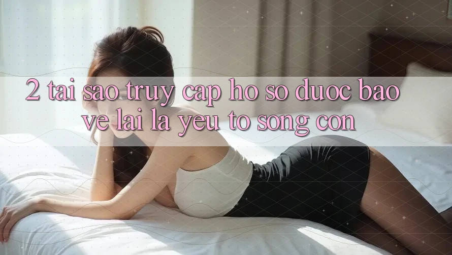 2. Tại Sao “Truy cập hồ sơ Được bảo vệ” Lại Là Yếu Tố Sống Còn?