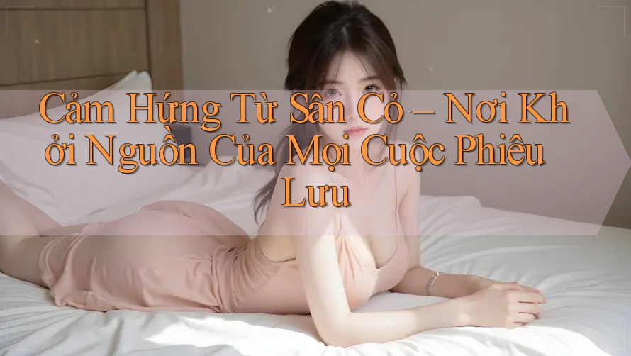 Cảm Hứng Từ Sân Cỏ – Nơi Khởi Nguồn Của Mọi Cuộc Phiêu Lưu