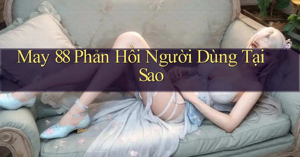 may 88 phản hồi người dùng tại sao